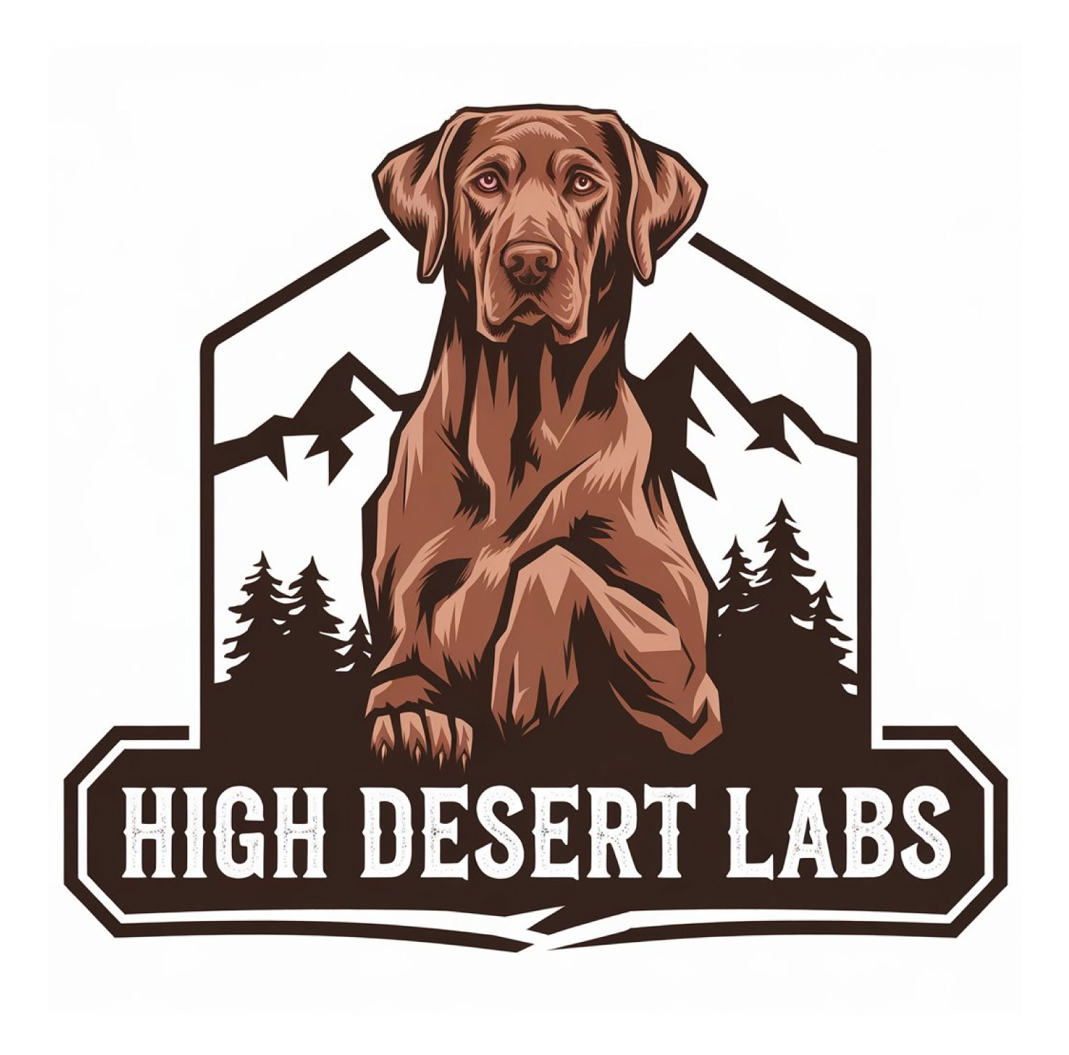 Diseño de Logo por KING JM para este proyecto | Diseño #34708374