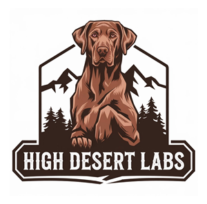 Diseño de Logo por KING JM para este proyecto | Diseño: #34708374