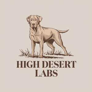 Logo Design by Shariqology for this project | Design: #34709247