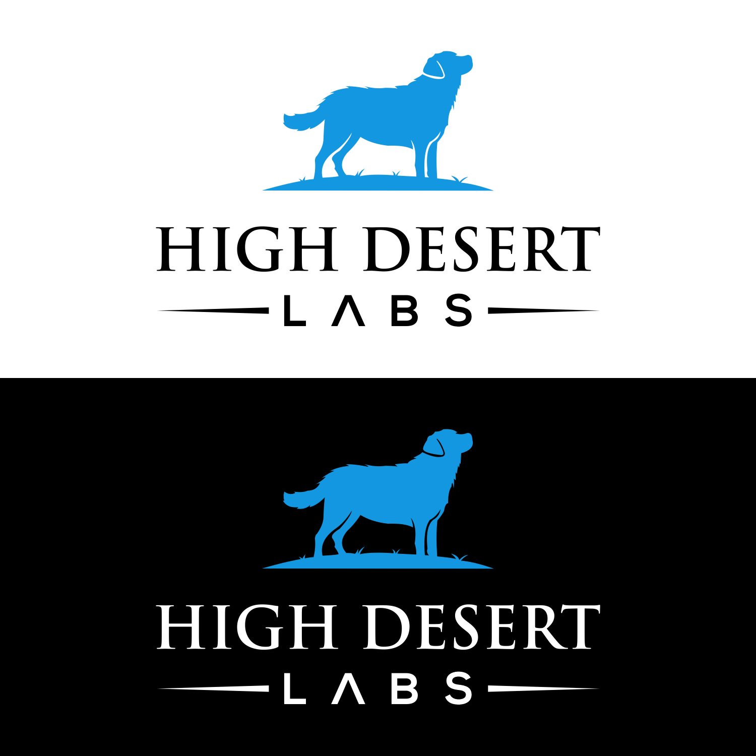 Diseño de Logo por pusing para este proyecto | Diseño #34710660