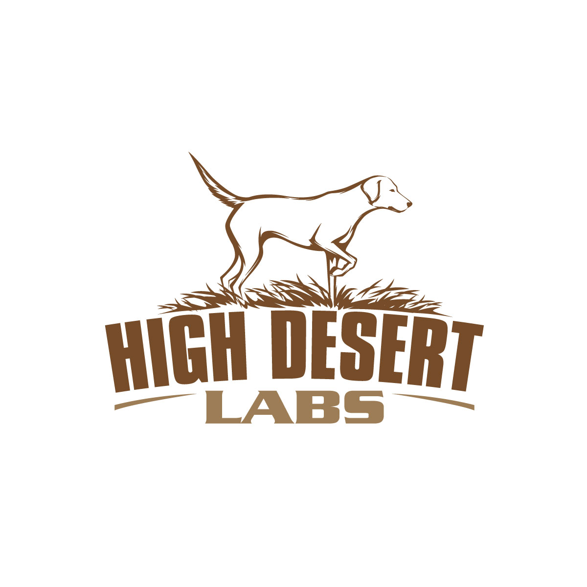 Design de Logo par prodesigns99 pour ce projet | Design #34727938