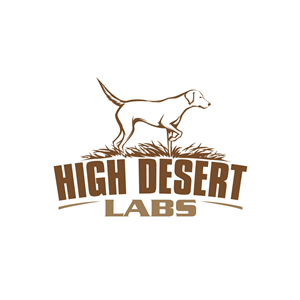 Logo Design by prodesigns99 for this project | Design: #34727938