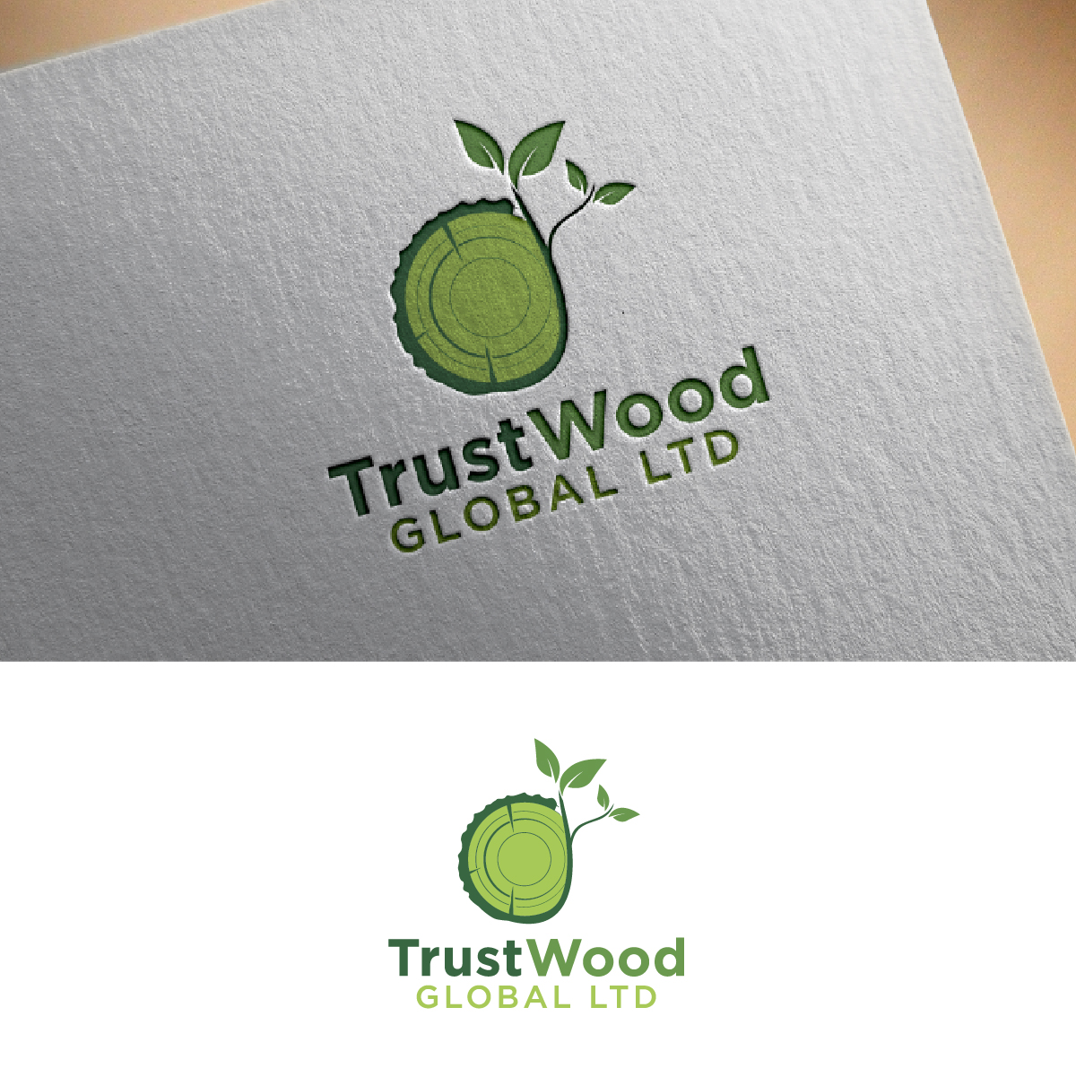 Logo Design by fly  design for this project | Design #34722387
