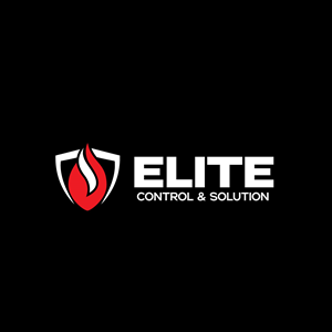 Logo Design by Wong Solo