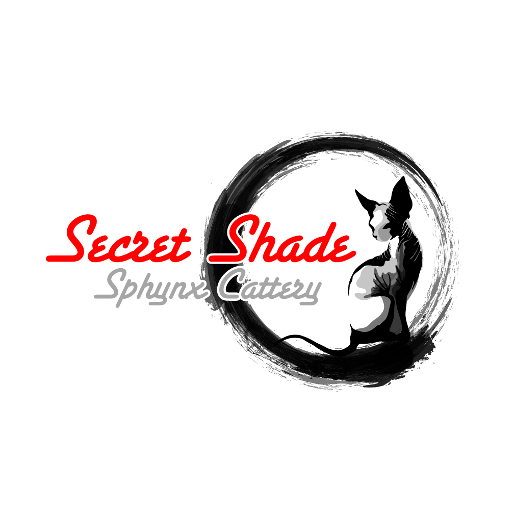 Diseño de Logo por Franabanana para este proyecto | Diseño #34728939