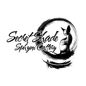 Diseño de Logo por Franabanana para este proyecto | Diseño: #34740293