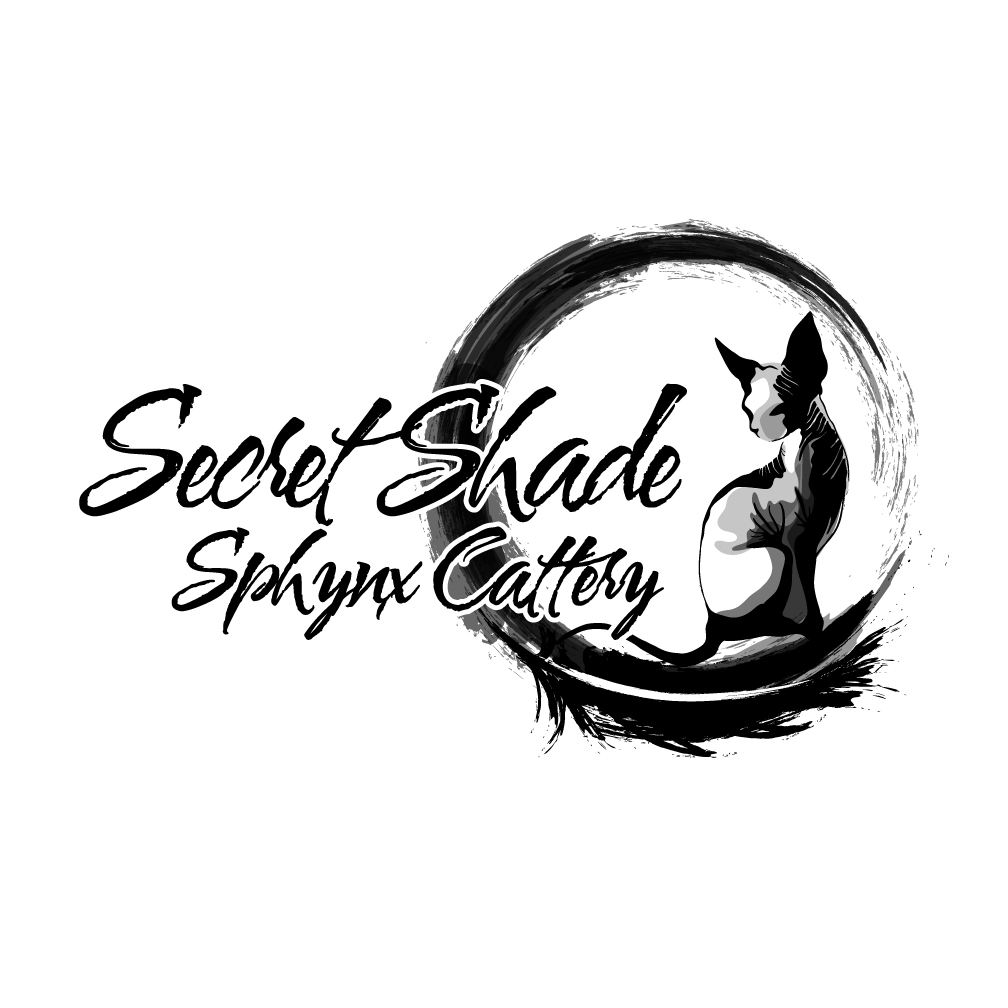 Diseño de Logo por Franabanana para este proyecto | Diseño #34740294