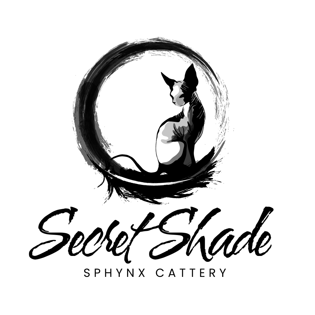 Diseño de Logo por Franabanana para este proyecto | Diseño #34740373