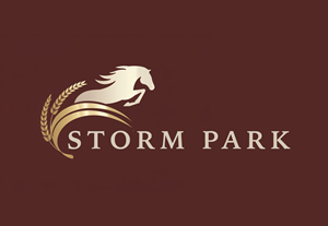 Logo Design by aneskayirt for this project | Design: #34721800