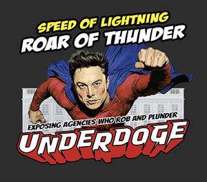 UnderDOGE