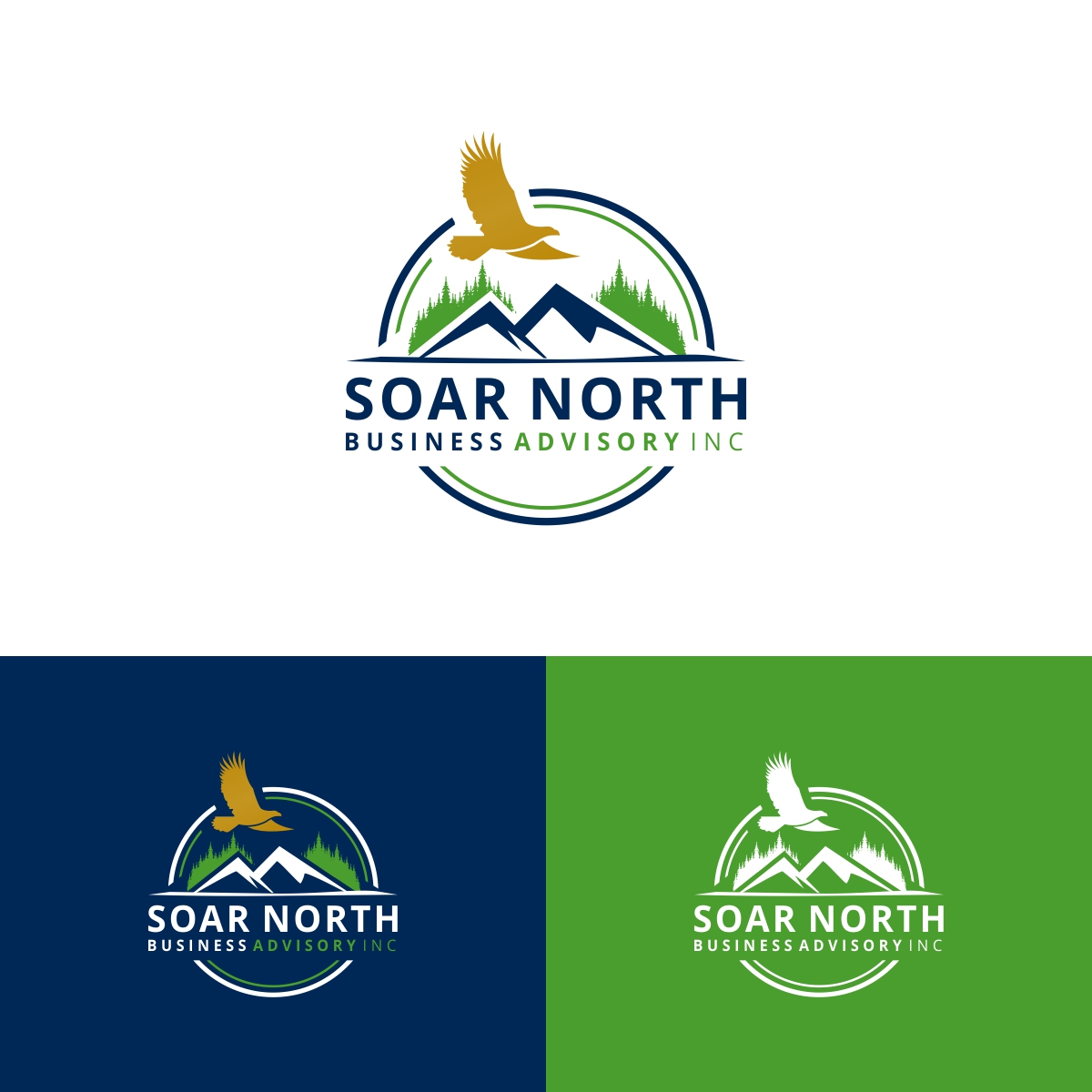 Logo Design by Loknath for this project | Design #34748882