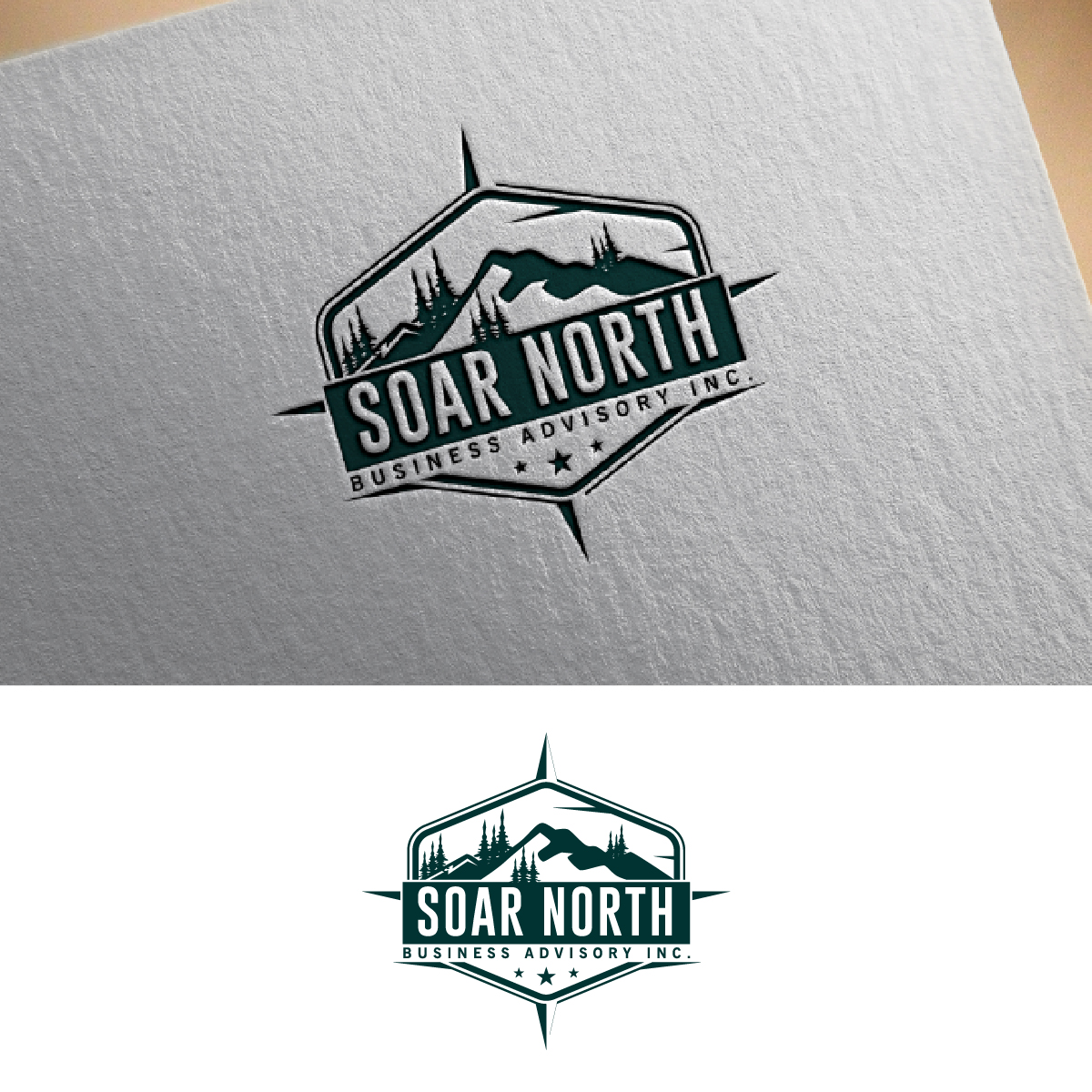 Logo Design by fly  design for this project | Design #34739299