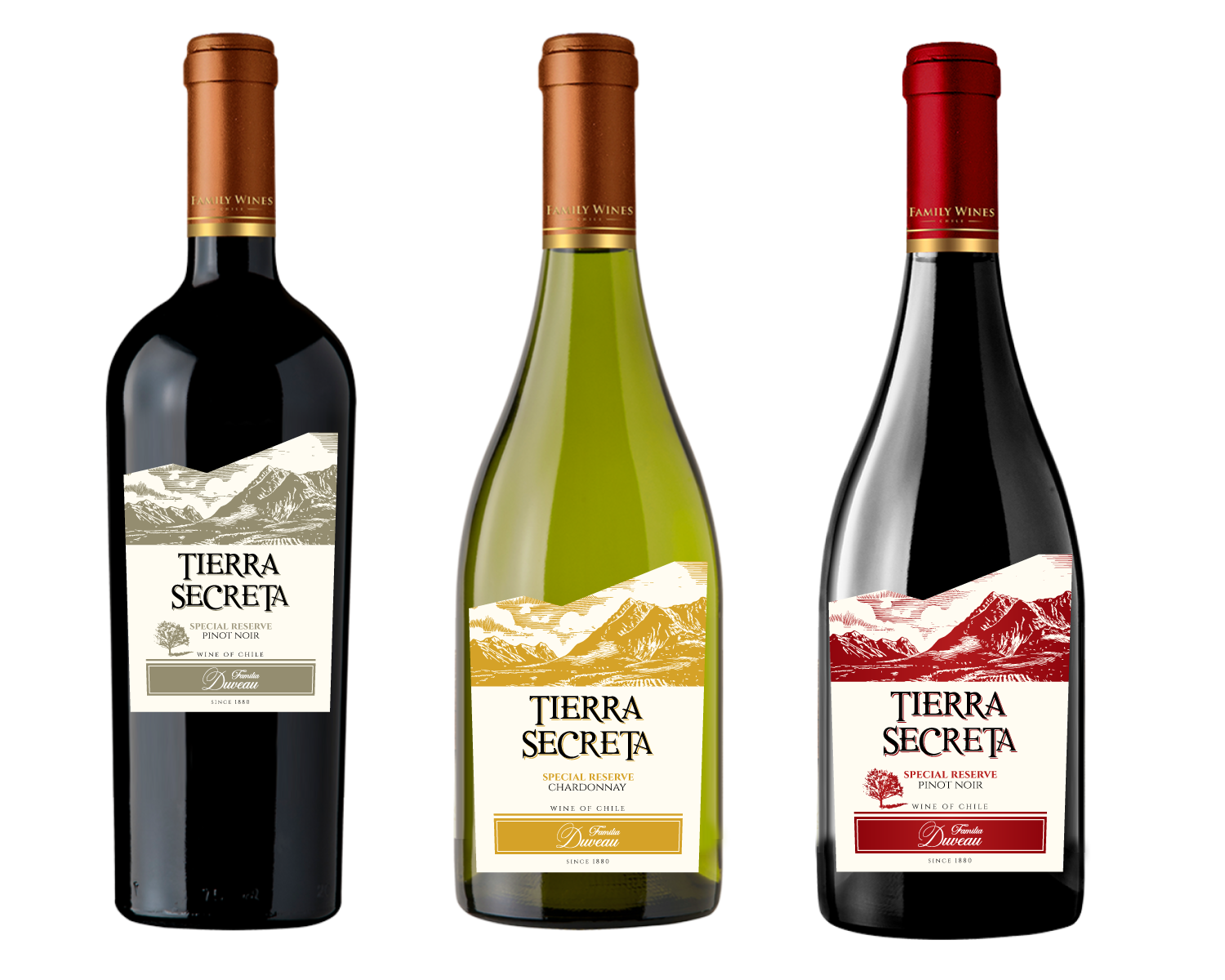 Design Étiquette par Sergio Coelho pour Duveau wines ltd | Design #34753482