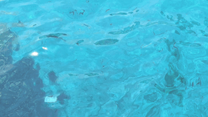 3D Design by WanWan for PhiAcademy GmbH | Design: #34923909