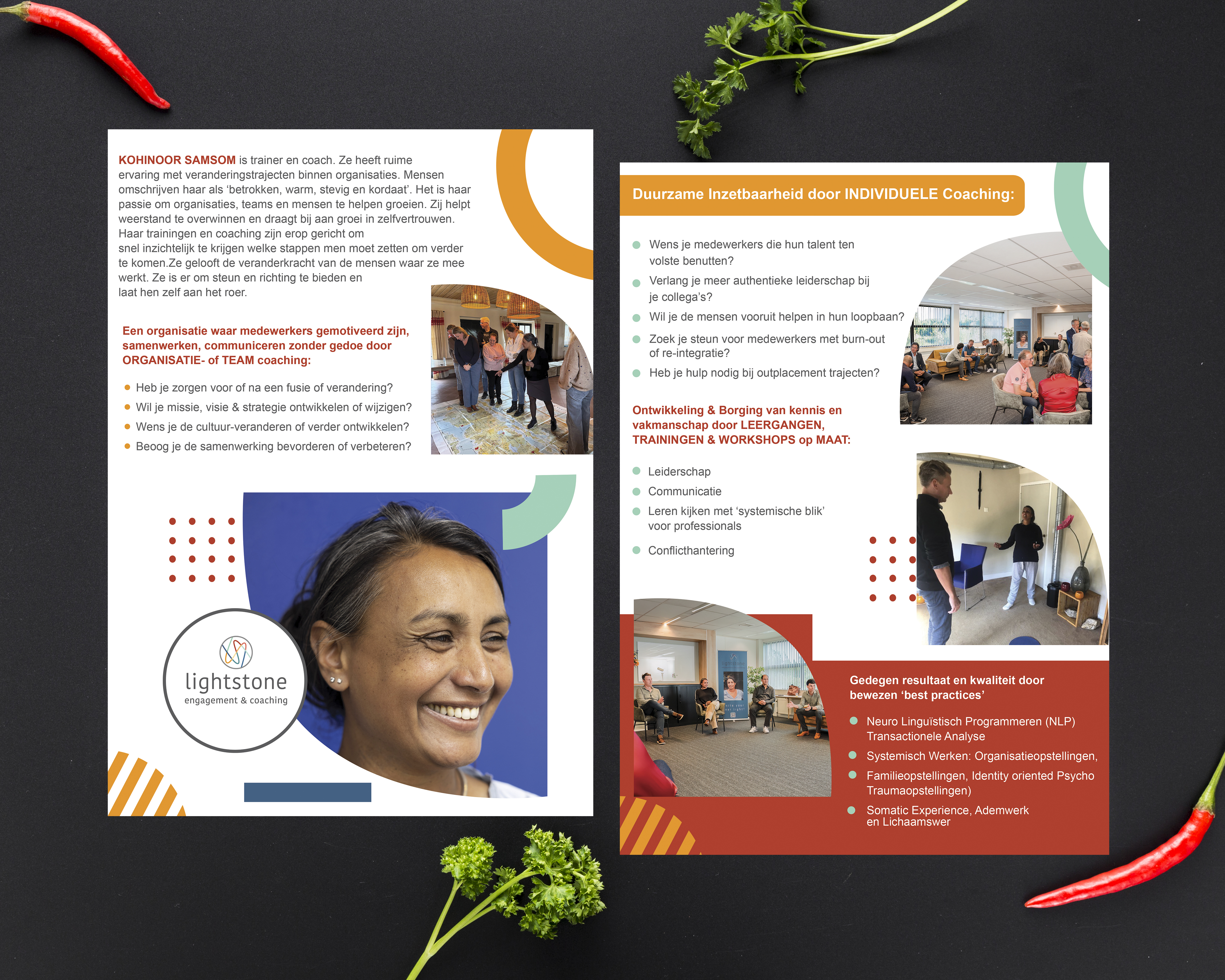 Diseño de Flyer por TuktukiShree para este proyecto | Diseño #34738479