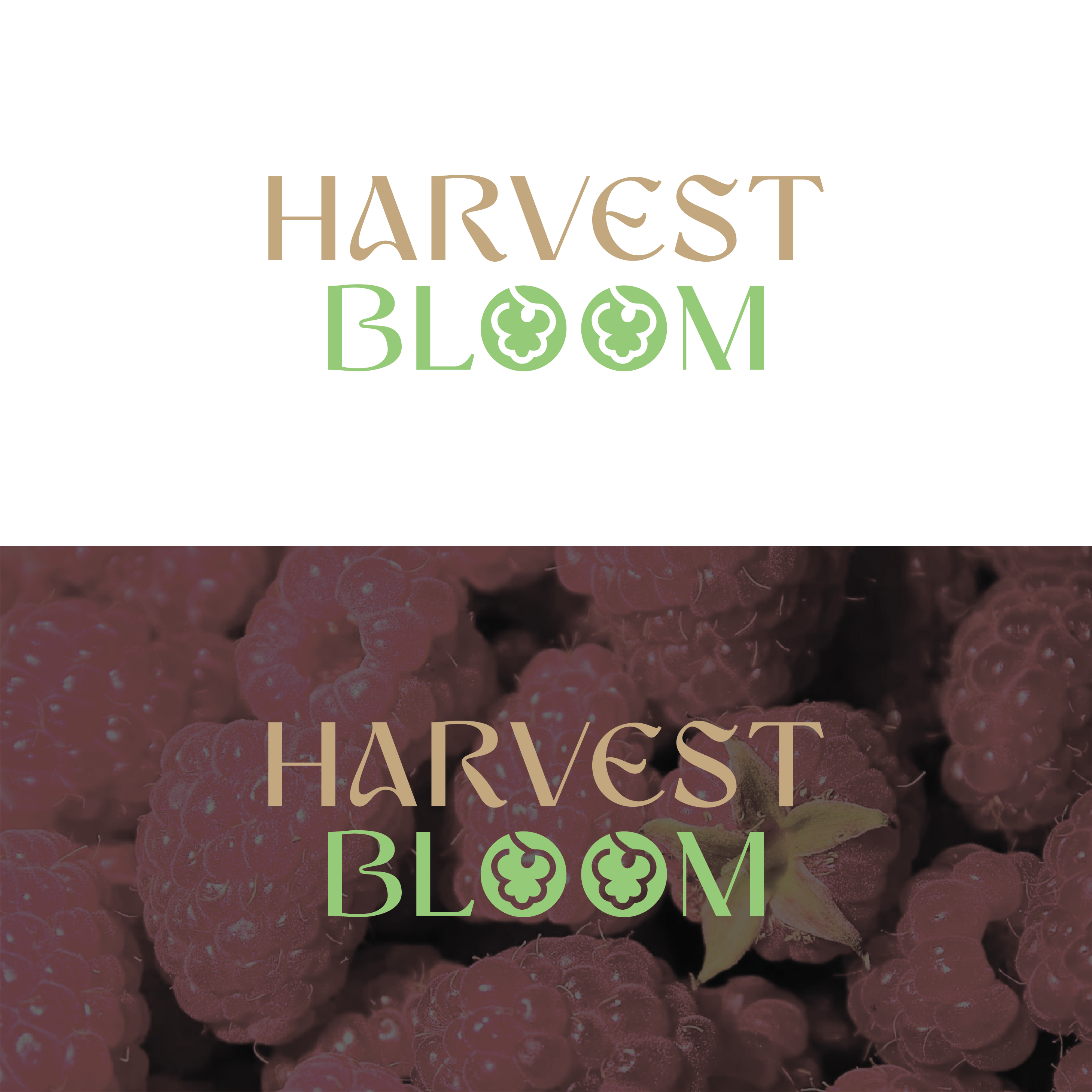 Logo Design by BANI GD for this project | Design #34738689