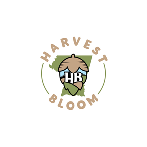 Logo Design by Krold IT Solutions for this project | Design: #34738275