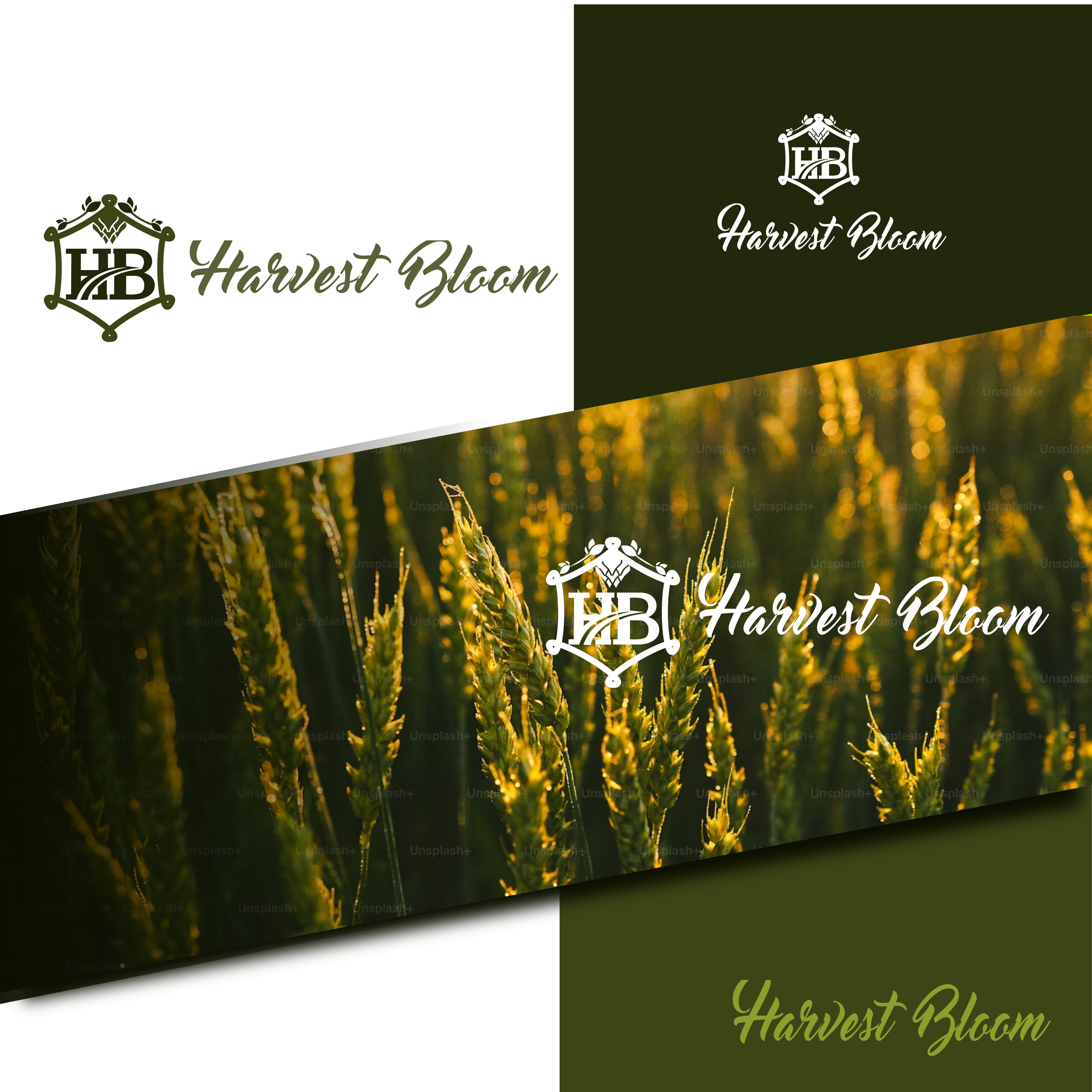 Logo Design by titanium wings for this project | Design #34740491
