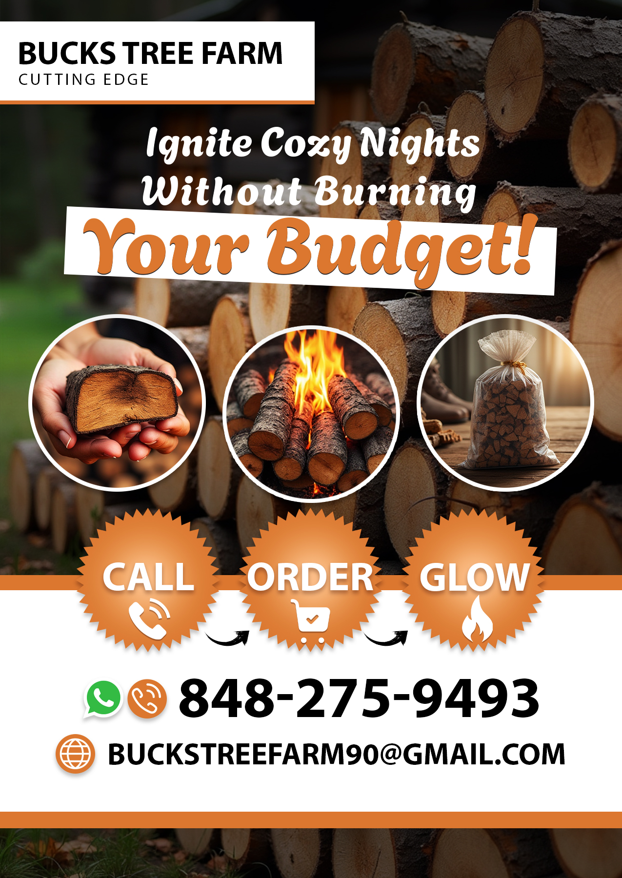 Flyer Design by Miguel Silva for this project | Design #34745680