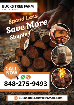 Flyer Design by Miguel Silva for this project | Design: #34745956