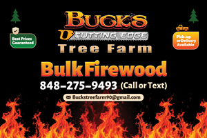 Flyer Design by Farvahar Design Studio for this project | Design: #34734933