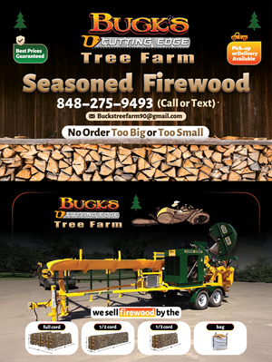 Flyer Design by Farvahar Design Studio for this project | Design: #34739574