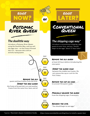 Infographic Design by JK18