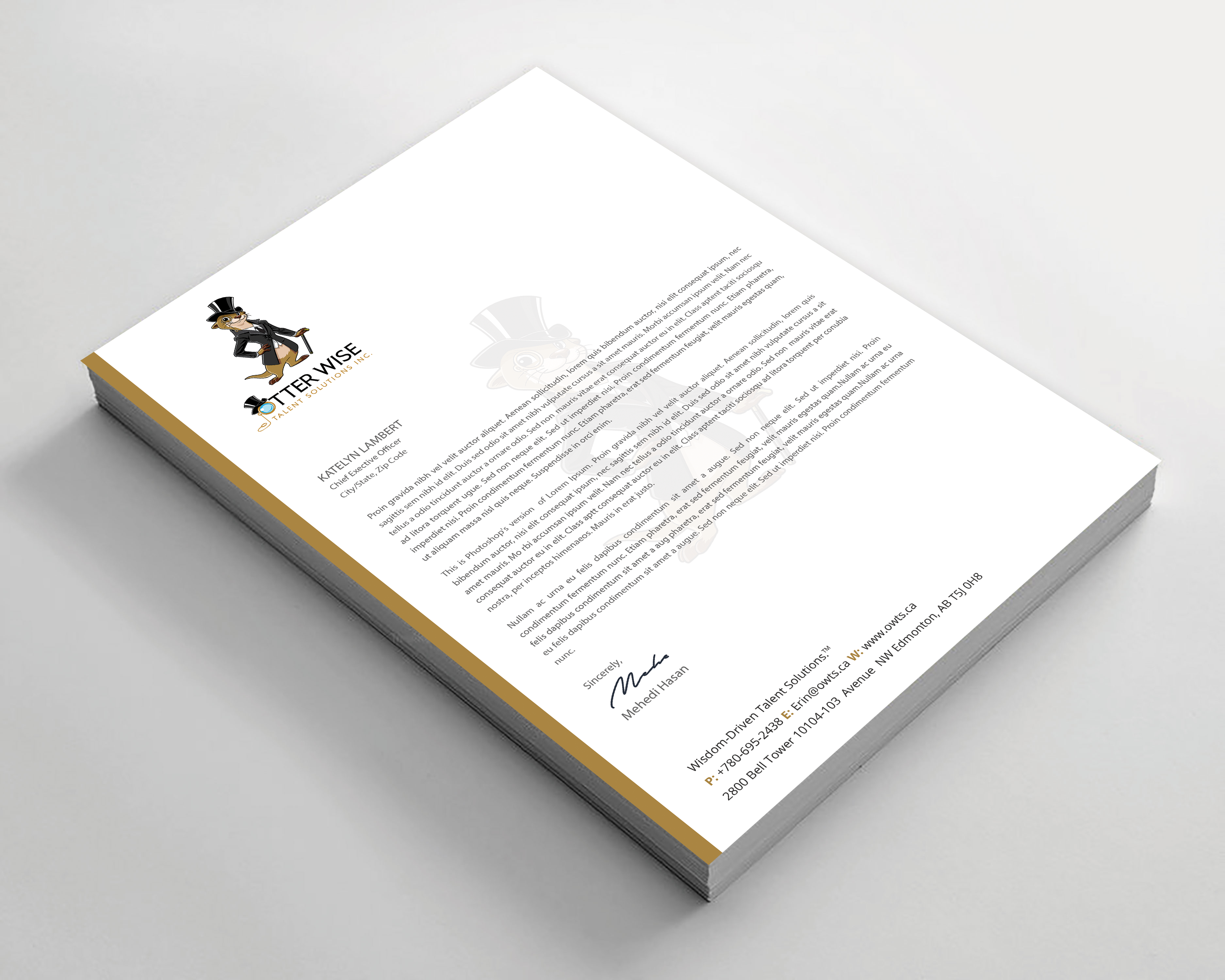 Letterhead Design by Expert Bappy for this project | Design #34736447