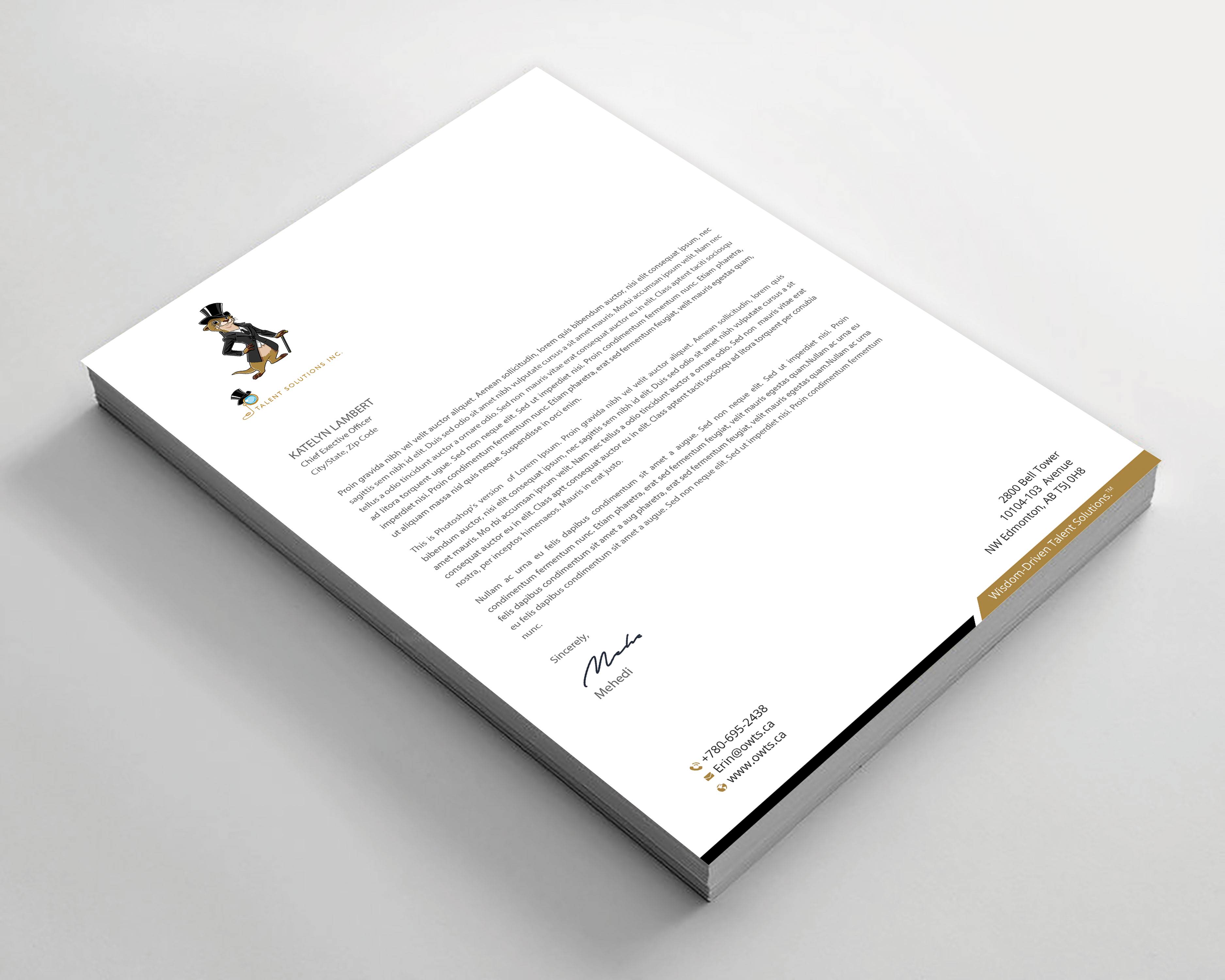 Letterhead Design by Expert Bappy for this project | Design #34737327