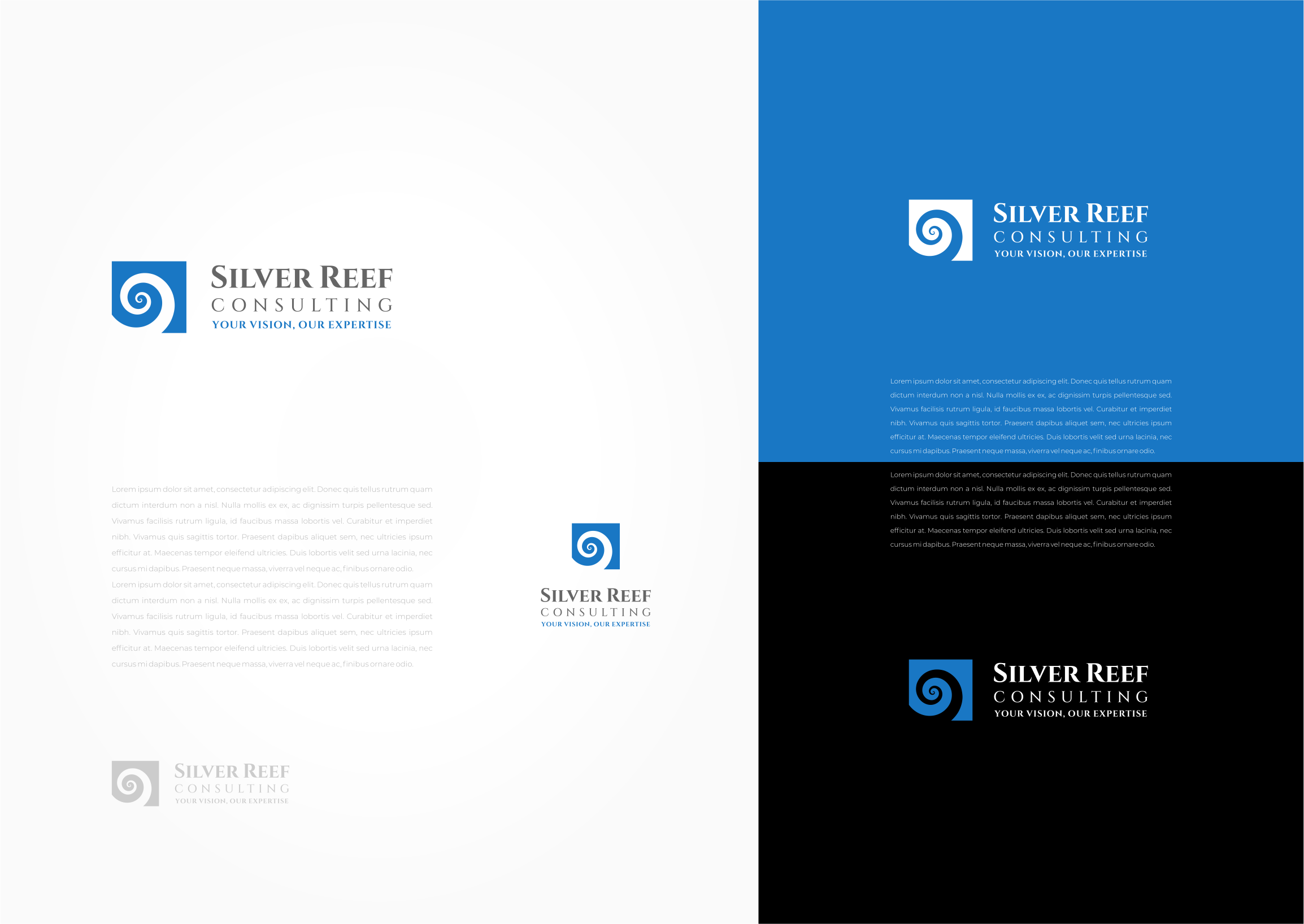Logo Design by MishaDsign for Silver Reef Consulting, LLC | Design #34771763