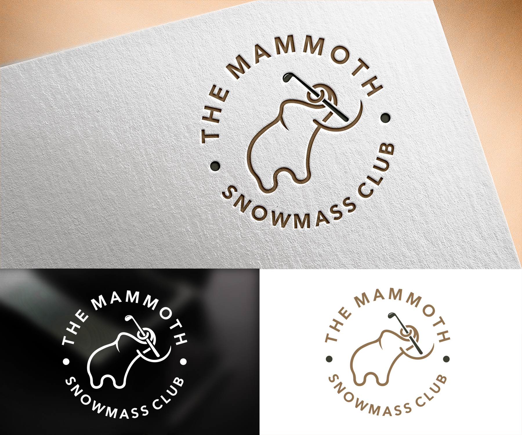 Logo-Design von Vishak vasu für dieses Projekt | Design #34782998