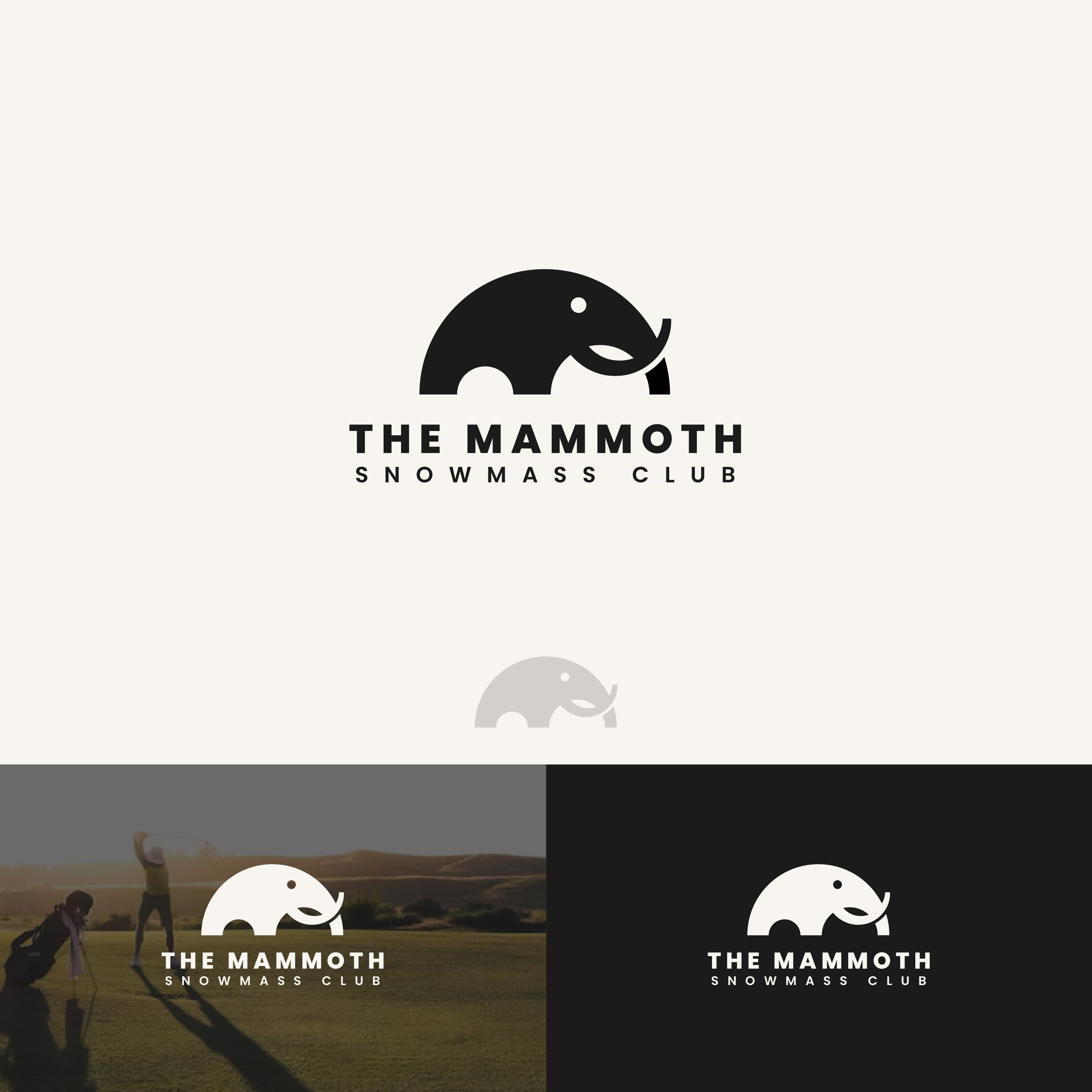 Logo Design by Boril Std for this project | Design #34745631