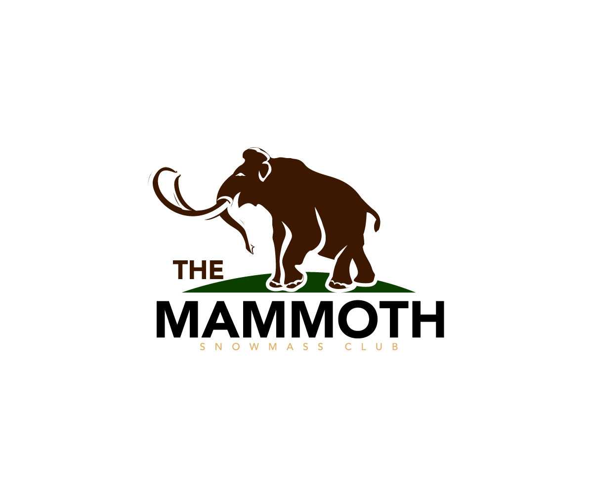 Logo Design by Ansh Design for this project | Design #34745237