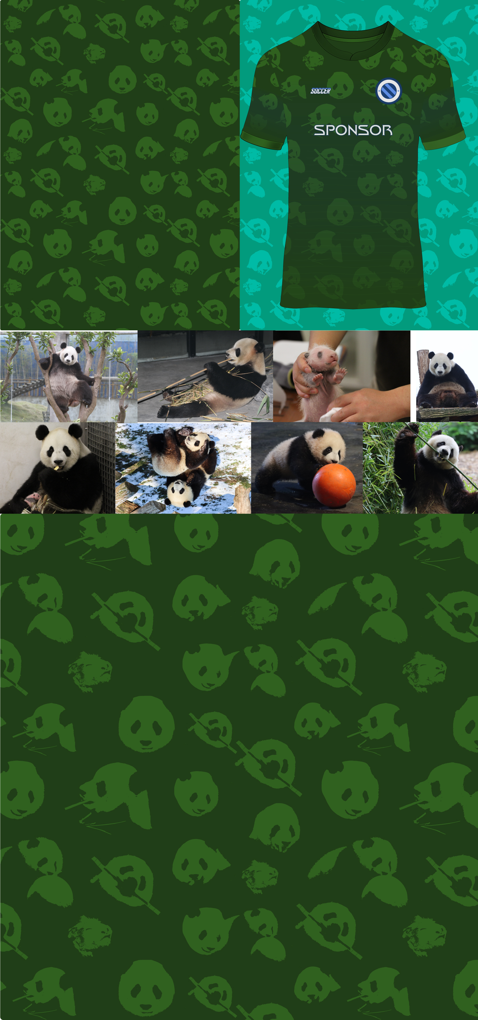 Diseño de Camiseta por Ratul Designs para este proyecto | Diseño #34748724