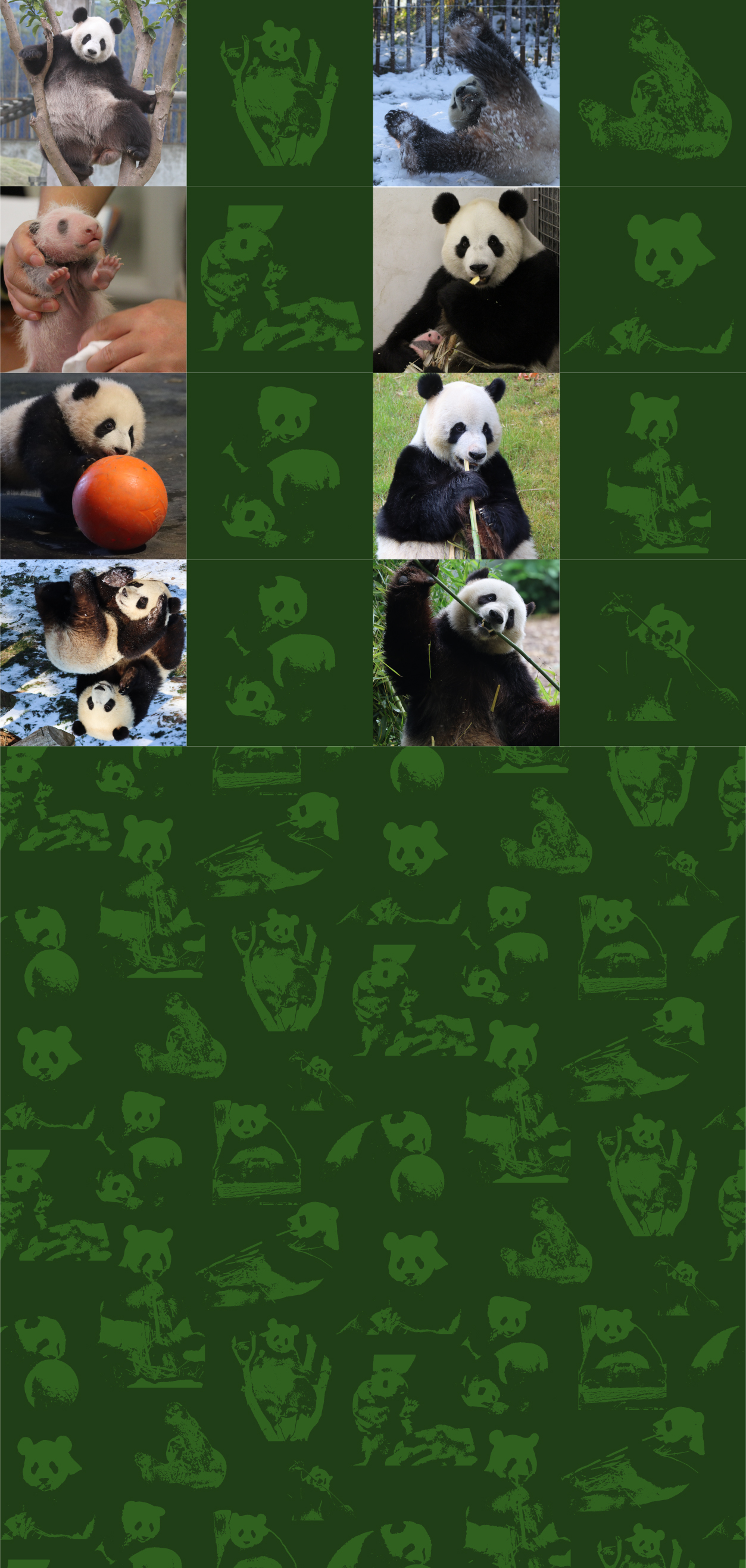 Diseño de Camiseta por Ratul Designs para este proyecto | Diseño #34777402