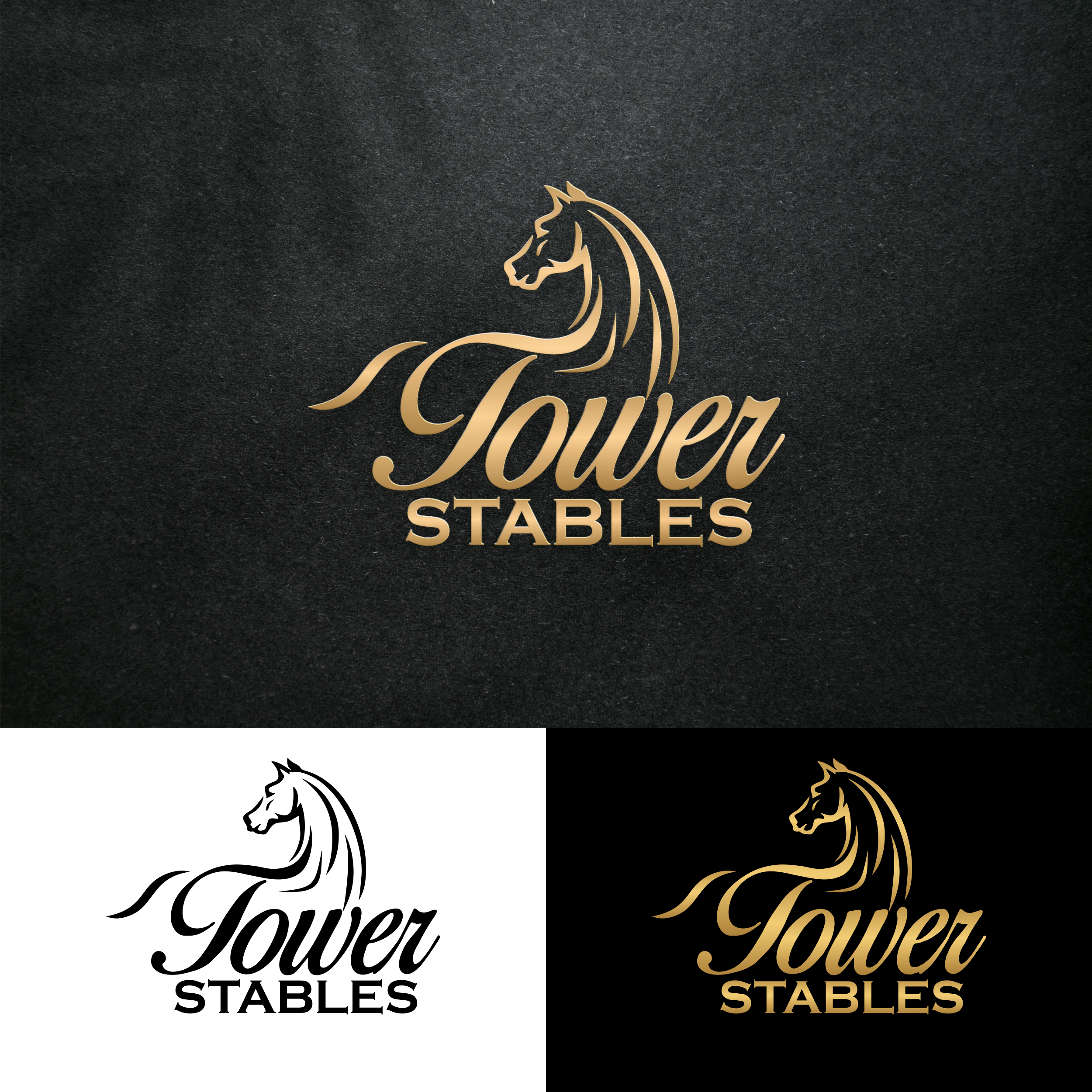 Logo Design by Astro D for this project | Design #34750302