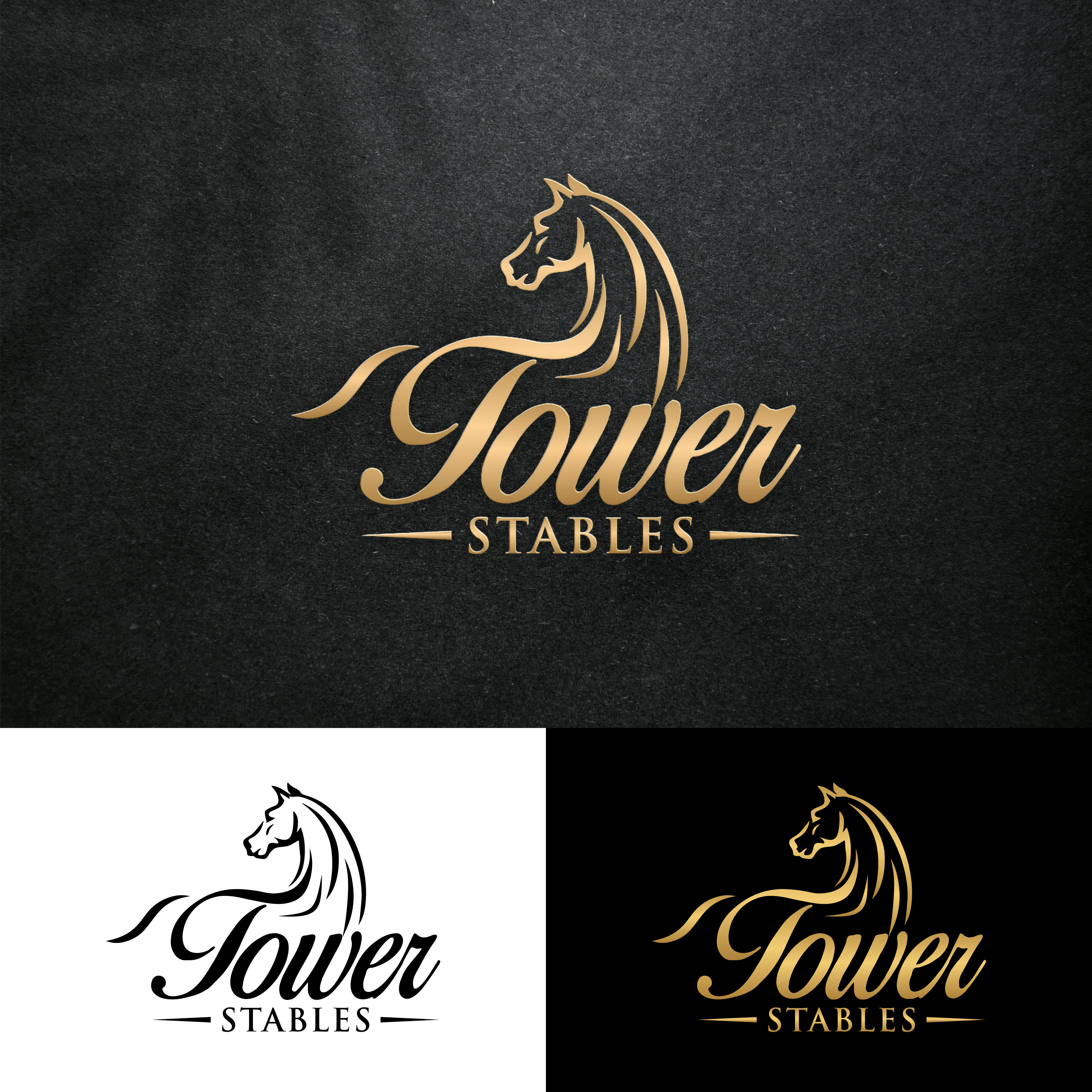 Logo Design by Astro D for this project | Design #34750324