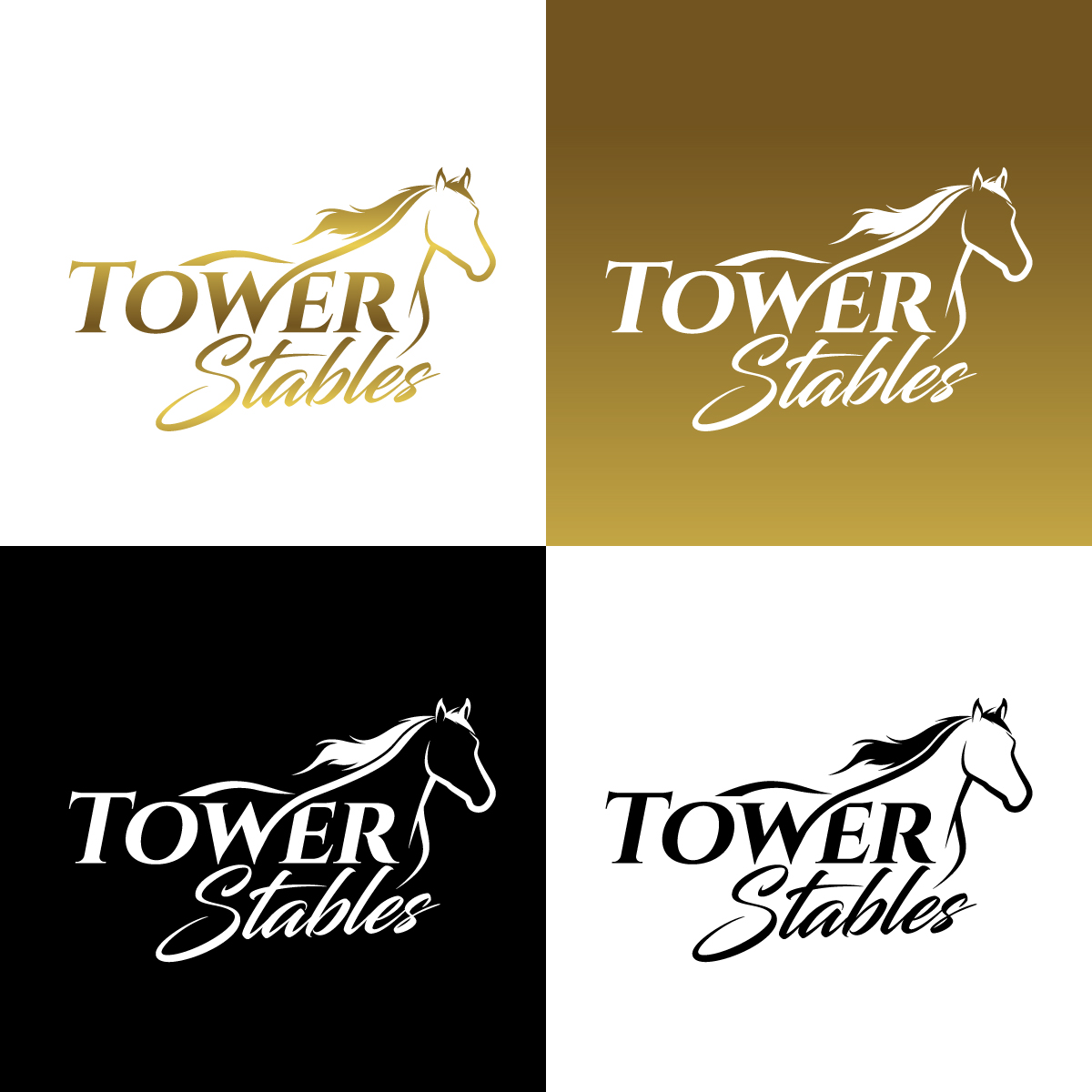 Design de Logo par Dhimant Maloo pour ce projet | Design #34750455