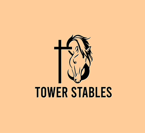 Logo Design by skyair4321