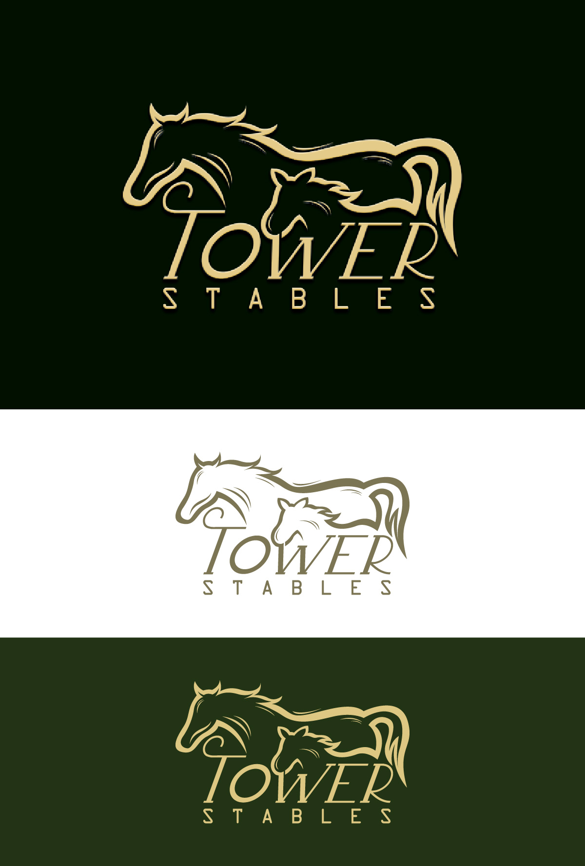 Design de Logo par fly  design pour ce projet | Design #34751073