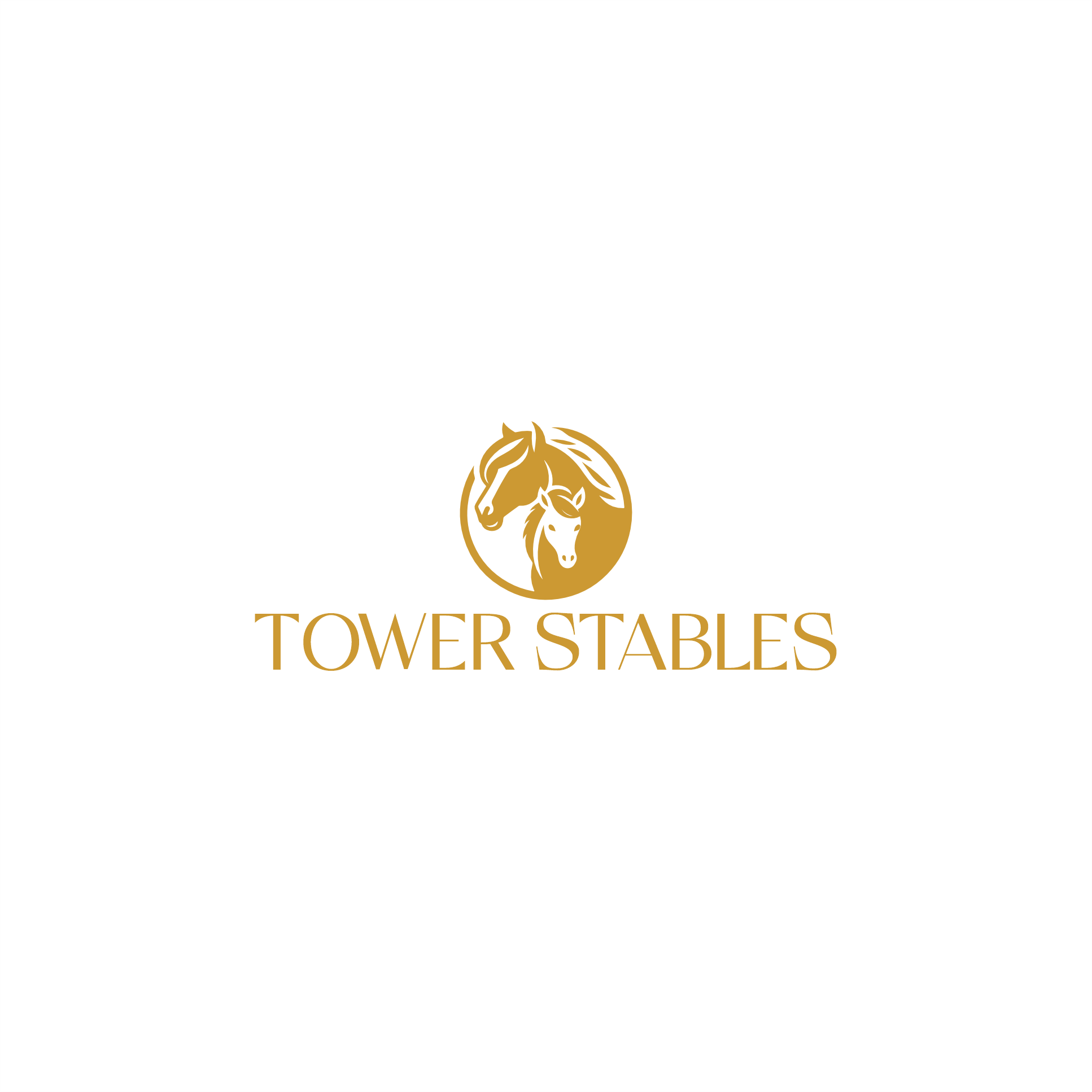 Logo Design by Muhammadsaria for this project | Design #34748063