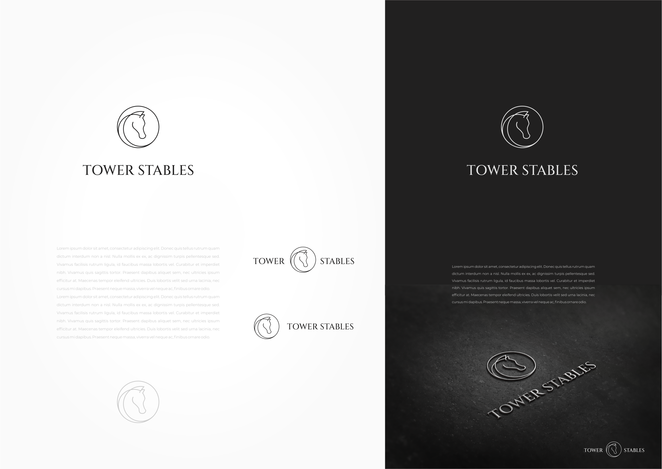 Logo Design by MishaDsign for this project | Design #34757990