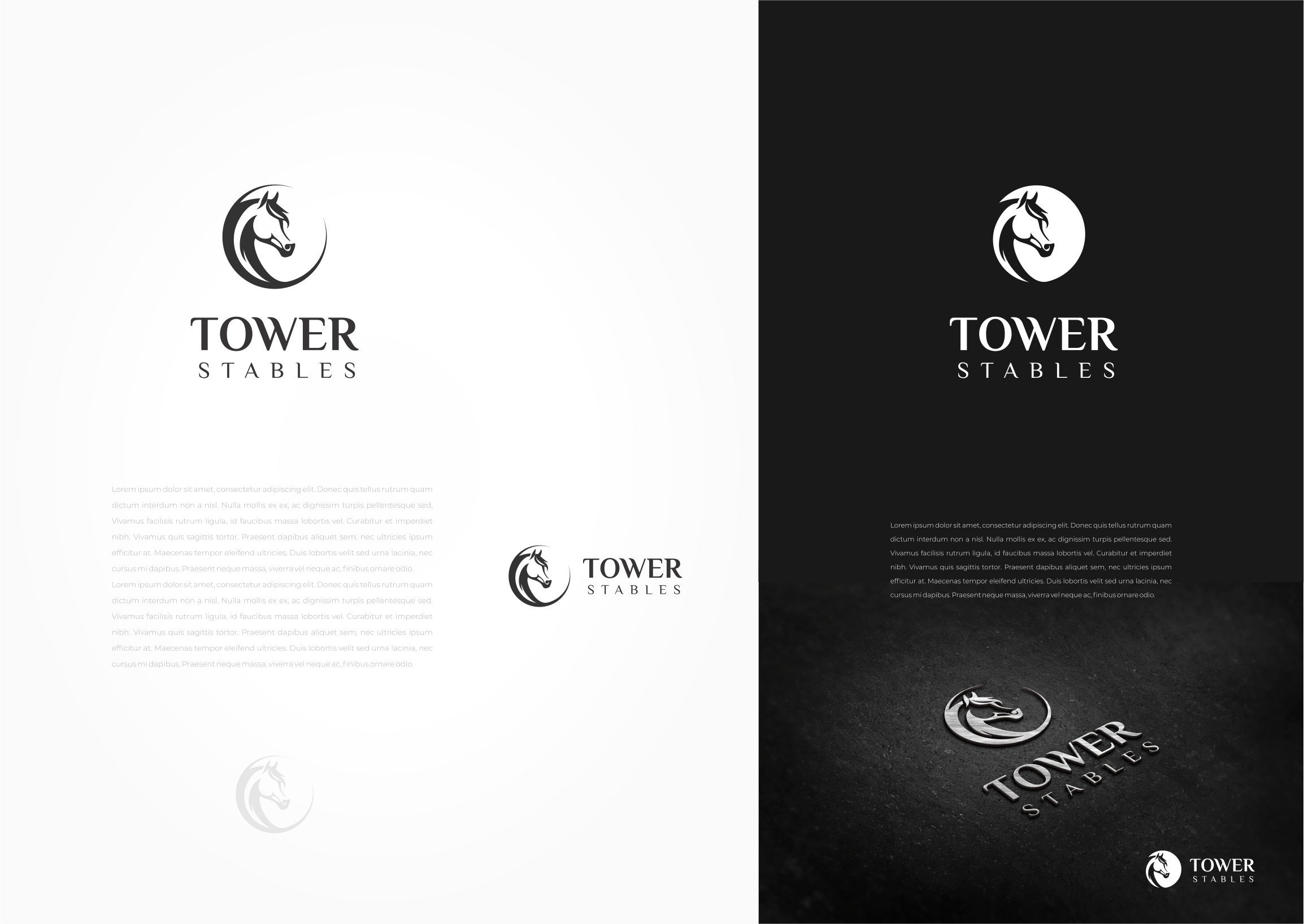 Logo Design by MishaDsign for this project | Design #34762995