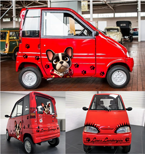 Car Wrap Design by Kira Graphics