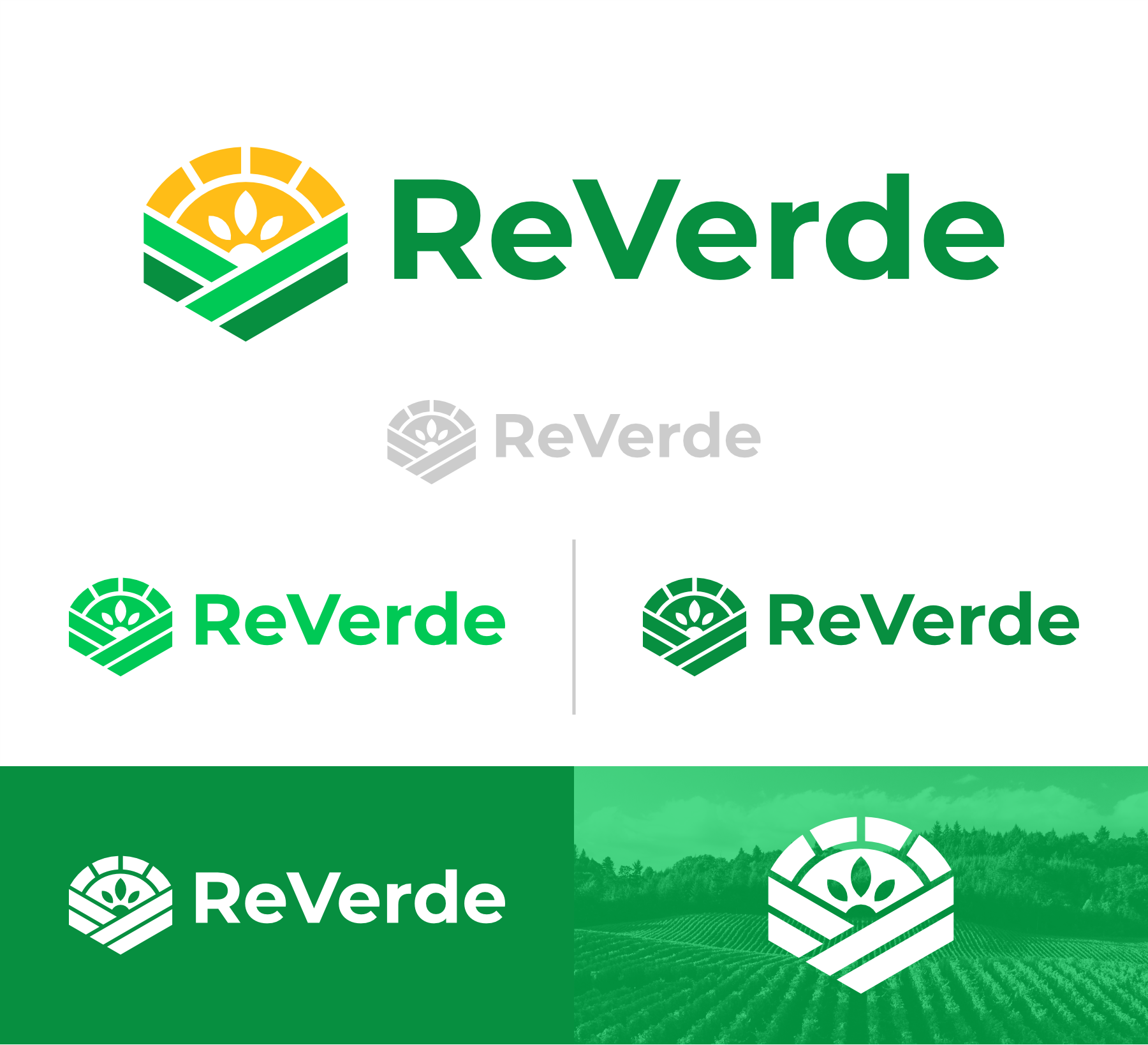 Logo Design by Aezakmi for ReVerde | Design #34778596