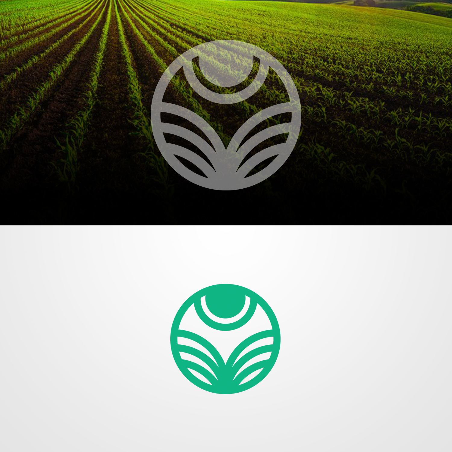 Logo Design by GRAFFYC for ReVerde | Design #34796434