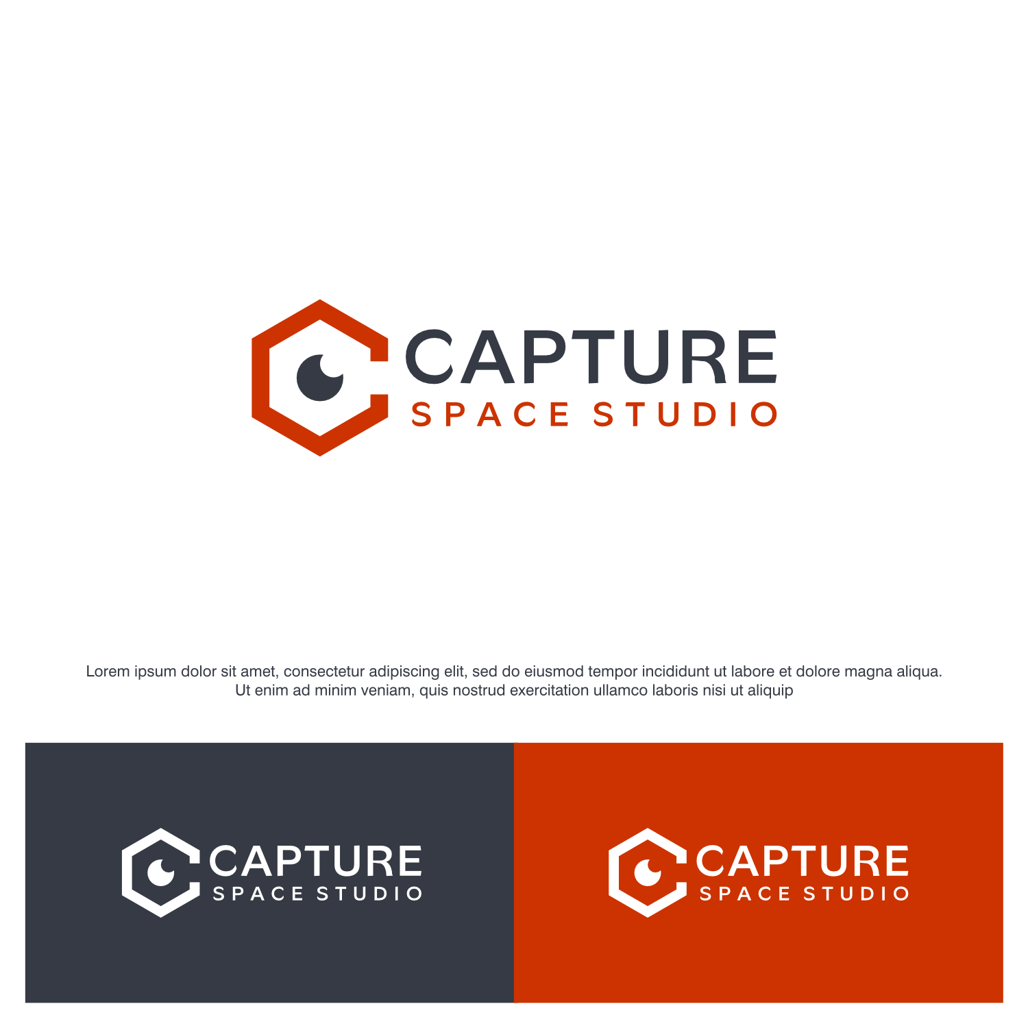 Logo Design by ThiagoB for Capture Space Studio | Design #34771372