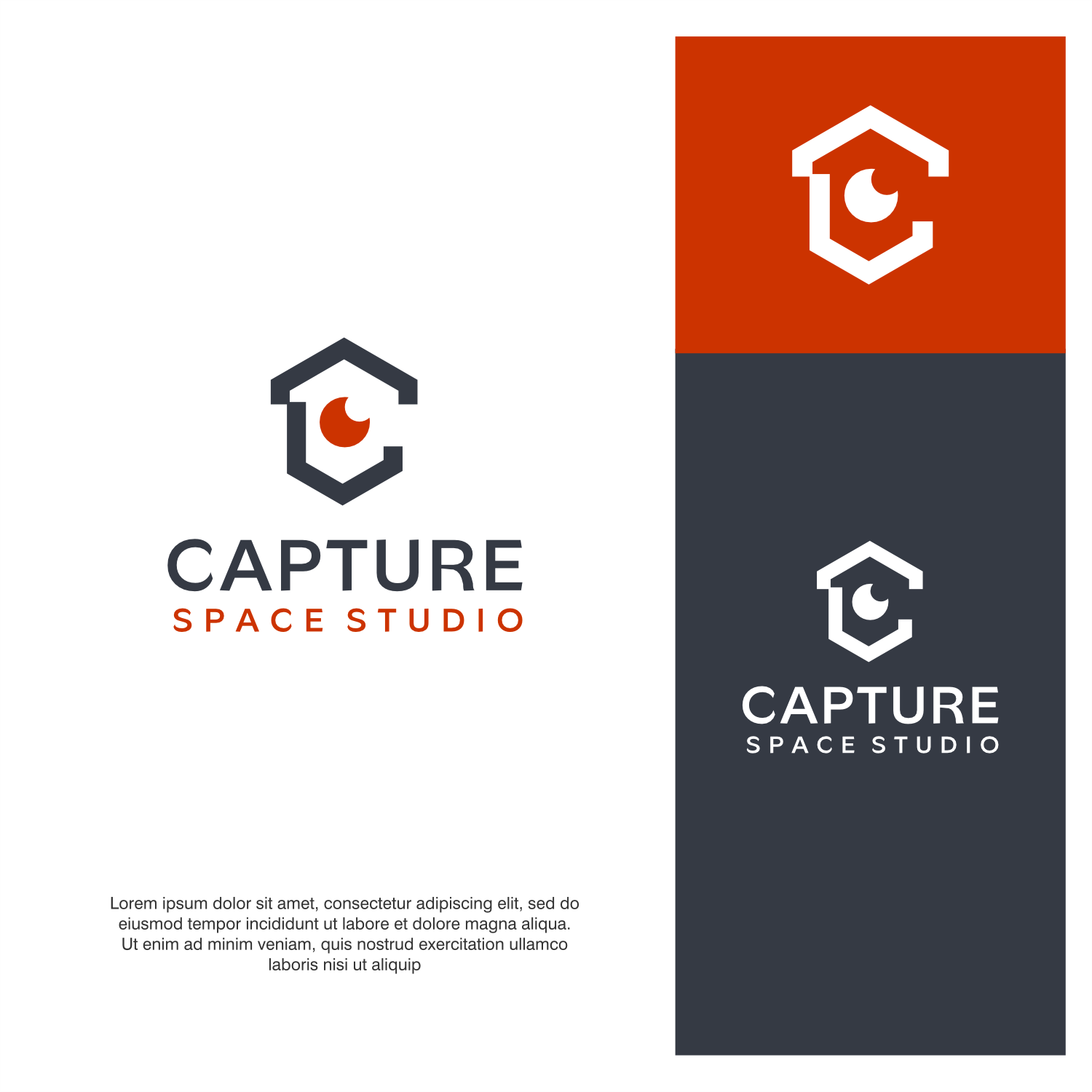 Logo Design by ThiagoB for Capture Space Studio | Design #34771374