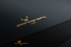 Logo Design by md salauddin kader