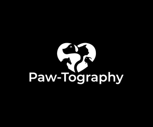 Logo Design by Spark  Design for this project | Design: #34776310